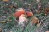 postbanktt_071_small.jpg