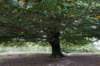 postbanktt_072_small.jpg