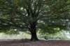 postbanktt_073_small.jpg