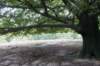 postbanktt_074_small.jpg