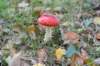 postbanktt_077_small.jpg