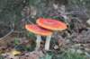 postbanktt_078_small.jpg