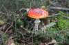 postbanktt_081_small.jpg