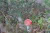 postbanktt_083_small.jpg