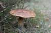 postbanktt_087_small.jpg