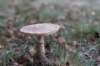 postbanktt_089_small.jpg