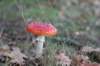 postbanktt_090_small.jpg
