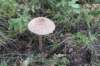 postbanktt_091_small.jpg