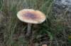 postbanktt_096_small.jpg