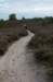 postbanktt_098_small.jpg