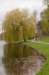 twello_002_small.jpg