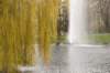 twello_003_small.jpg