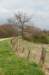 twello_028_small.jpg