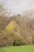 twello_033_small.jpg