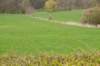 twello_034_small.jpg