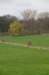 twello_035_small.jpg