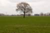 twello_037_small.jpg