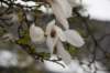 twello_048_small.jpg