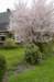 twello_050_small.jpg