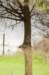 twello_059_small.jpg