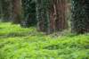 twello_061_small.jpg