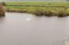 waddinxveen_008_small.jpg