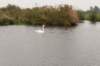 waddinxveen_009_small.jpg