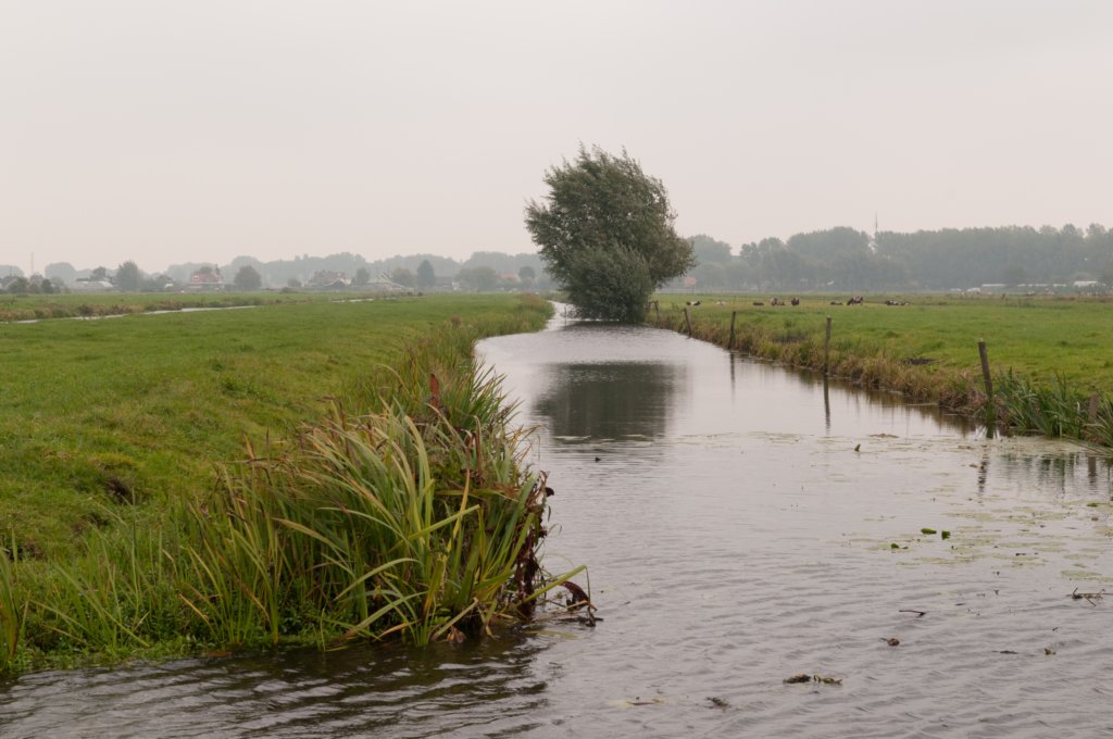 waddinxveen_010.jpg