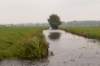 waddinxveen_010_small.jpg
