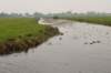 waddinxveen_014_small.jpg