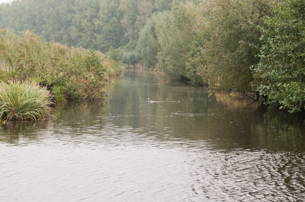 waddinxveen_015.jpg