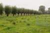 waddinxveen_020_small.jpg