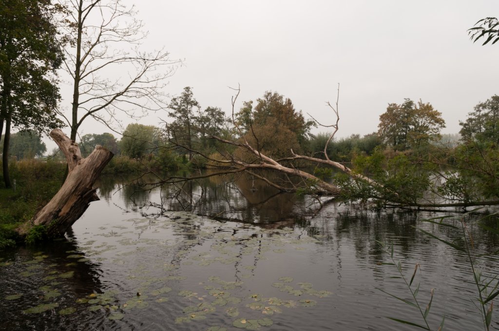 waddinxveen_023.jpg