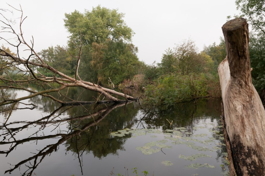 waddinxveen_024.jpg