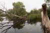waddinxveen_024_small.jpg