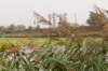 waddinxveen_026_small.jpg