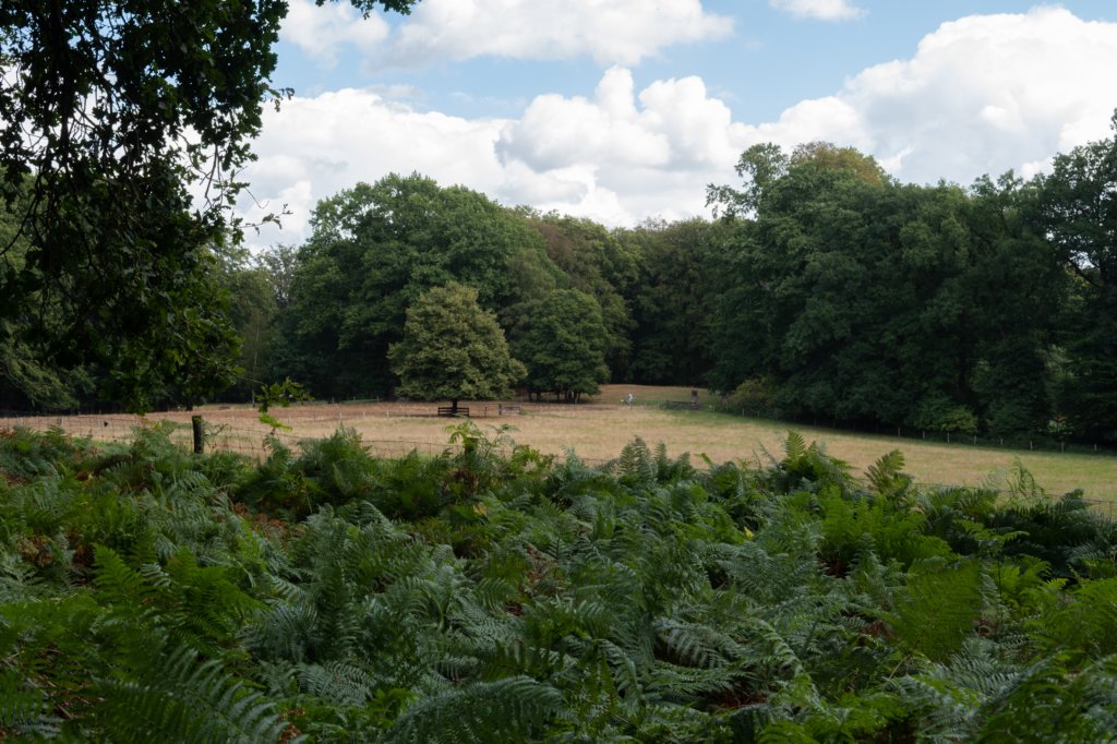 posbank2020_005.jpg