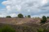 posbank2020_013_small.jpg