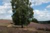 posbank2020_017_small.jpg