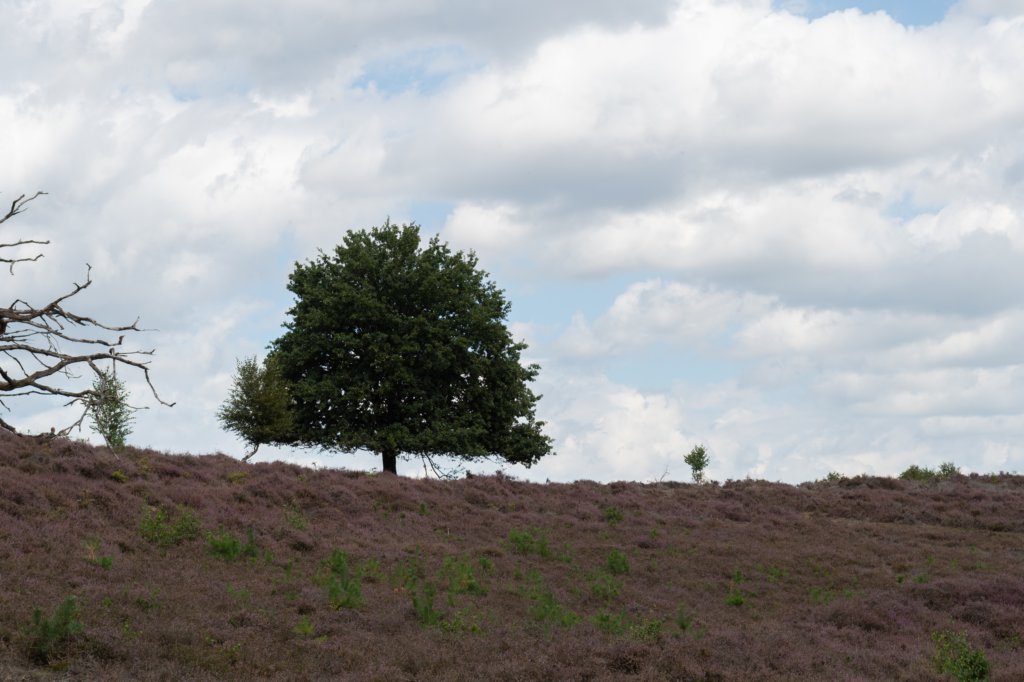 posbank2020_018.jpg