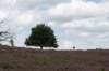 posbank2020_018_small.jpg