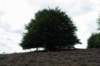 posbank2020_020_small.jpg
