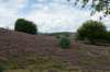 posbank2020_021_small.jpg