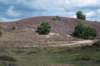 posbank2020_023_small.jpg