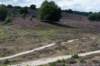 posbank2020_024_small.jpg