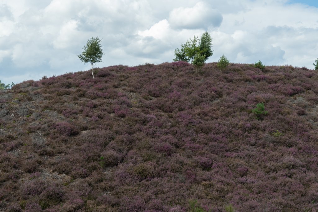 posbank2020_025.jpg