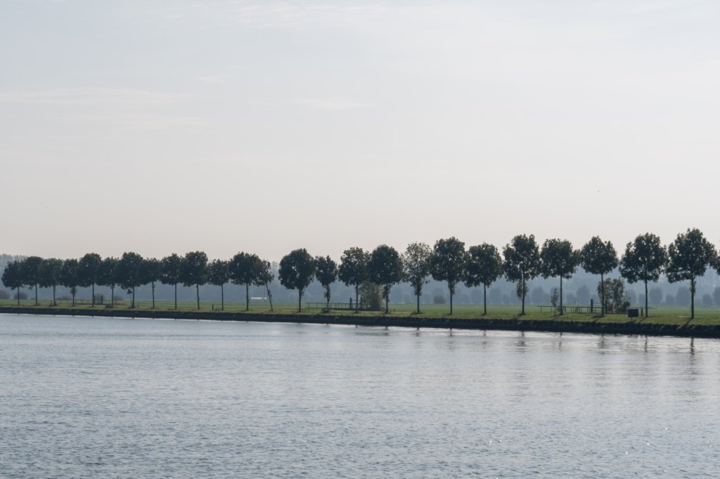 verdronkenbos_001.jpg
