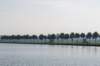 verdronkenbos_001_small.jpg