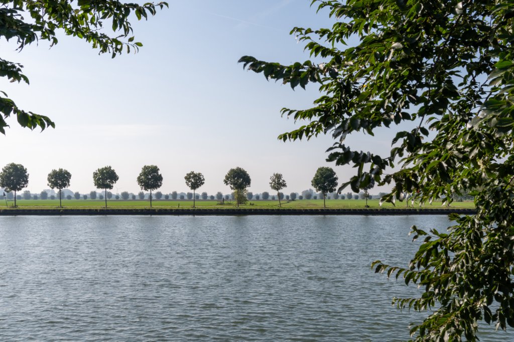 verdronkenbos_002.jpg