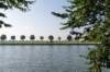 verdronkenbos_002_small.jpg